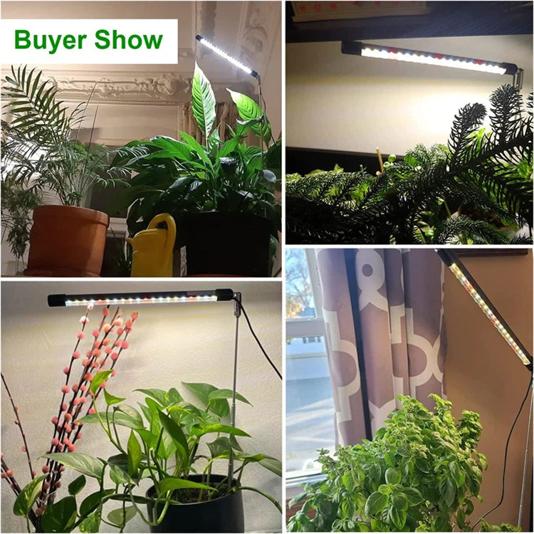 LED Grow Light