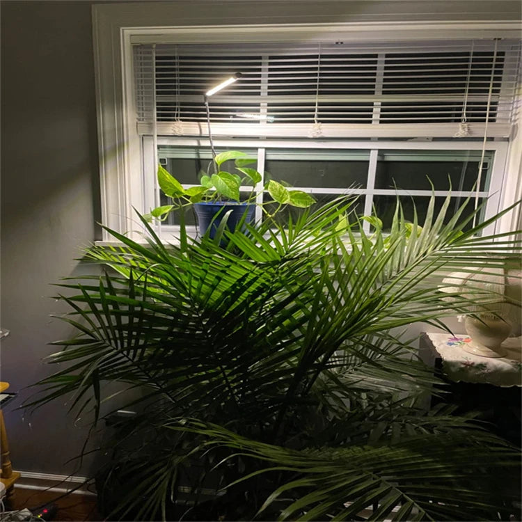 LED Grow Light