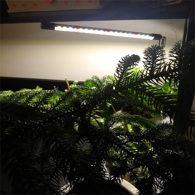 LED Grow Light