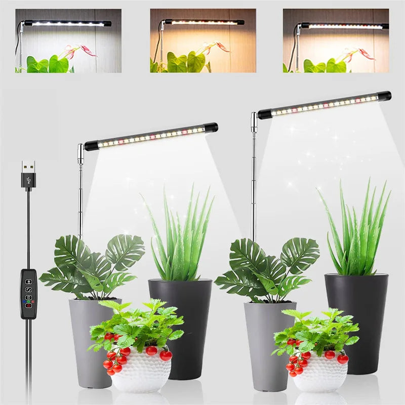 LED Grow Light