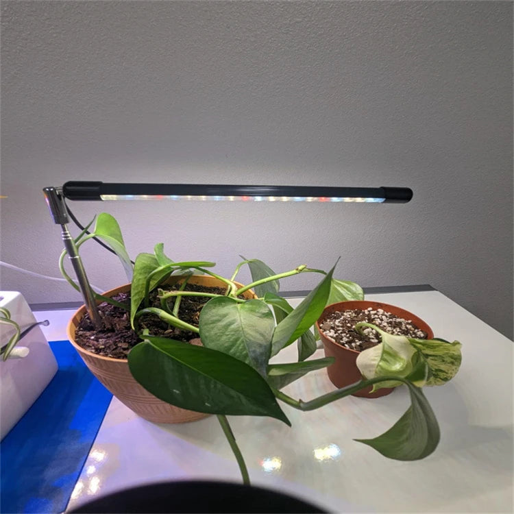 LED Grow Light