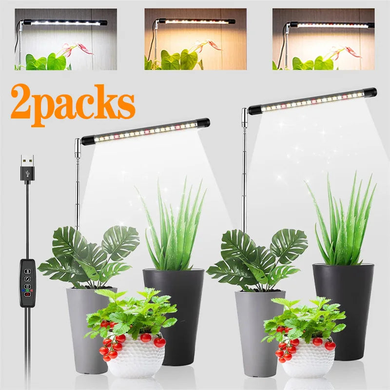 LED Grow Light