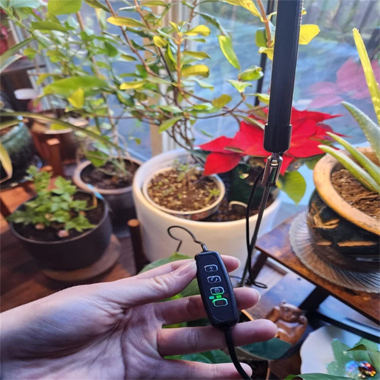 LED Grow Light