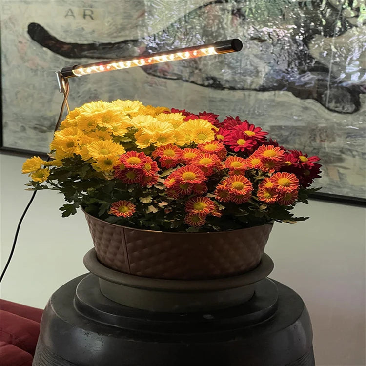 LED Grow Light