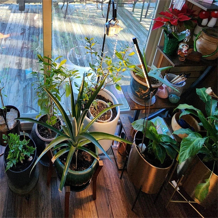 LED Grow Light