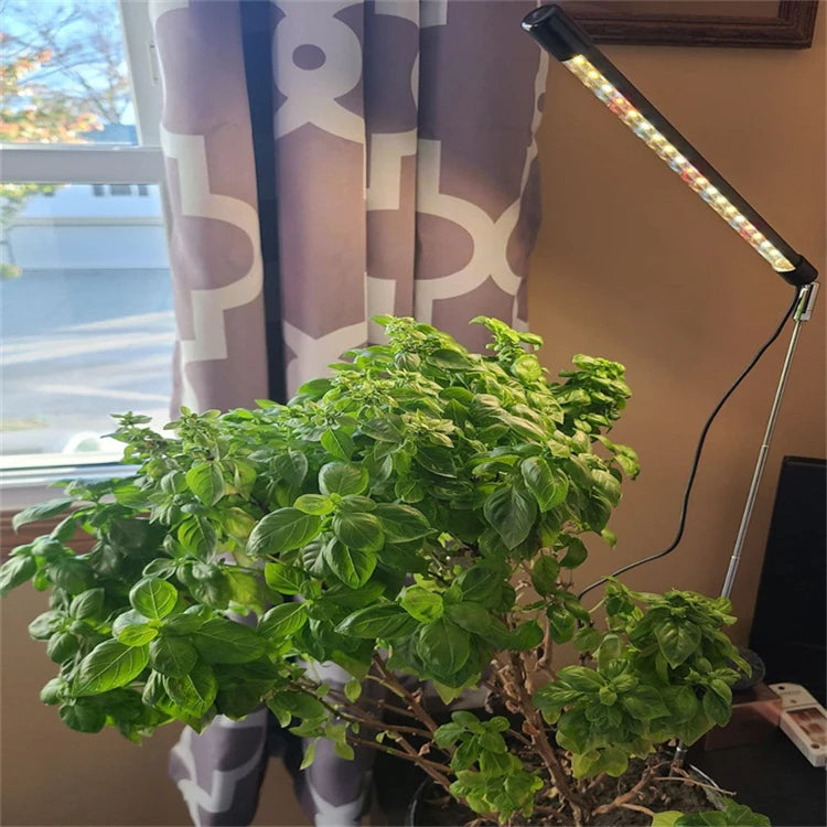 LED Grow Light