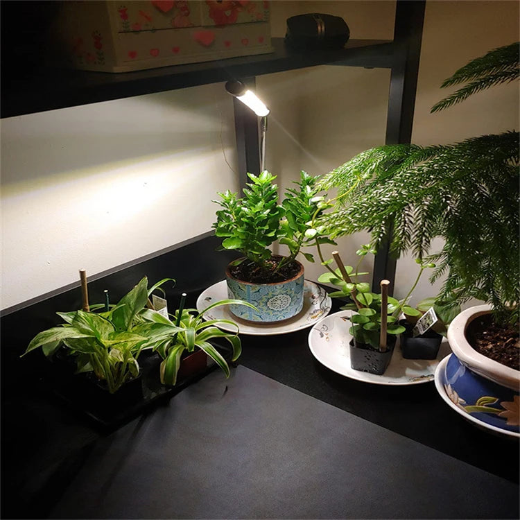 LED Grow Light