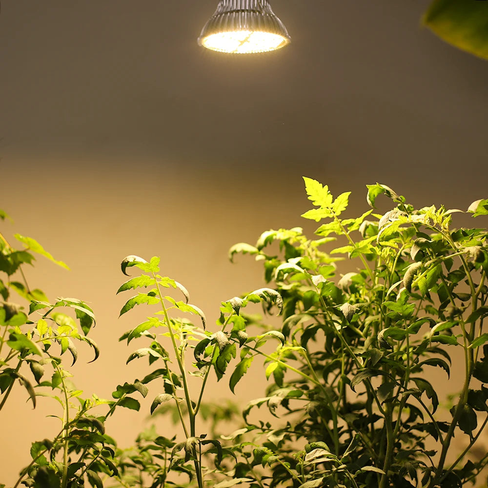 LED Full Spectrum Warm E27 Plant Light