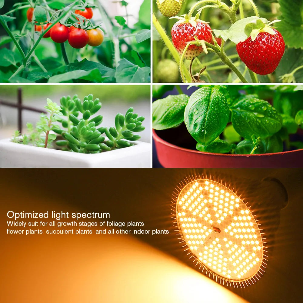 LED Full Spectrum Warm E27 Plant Light
