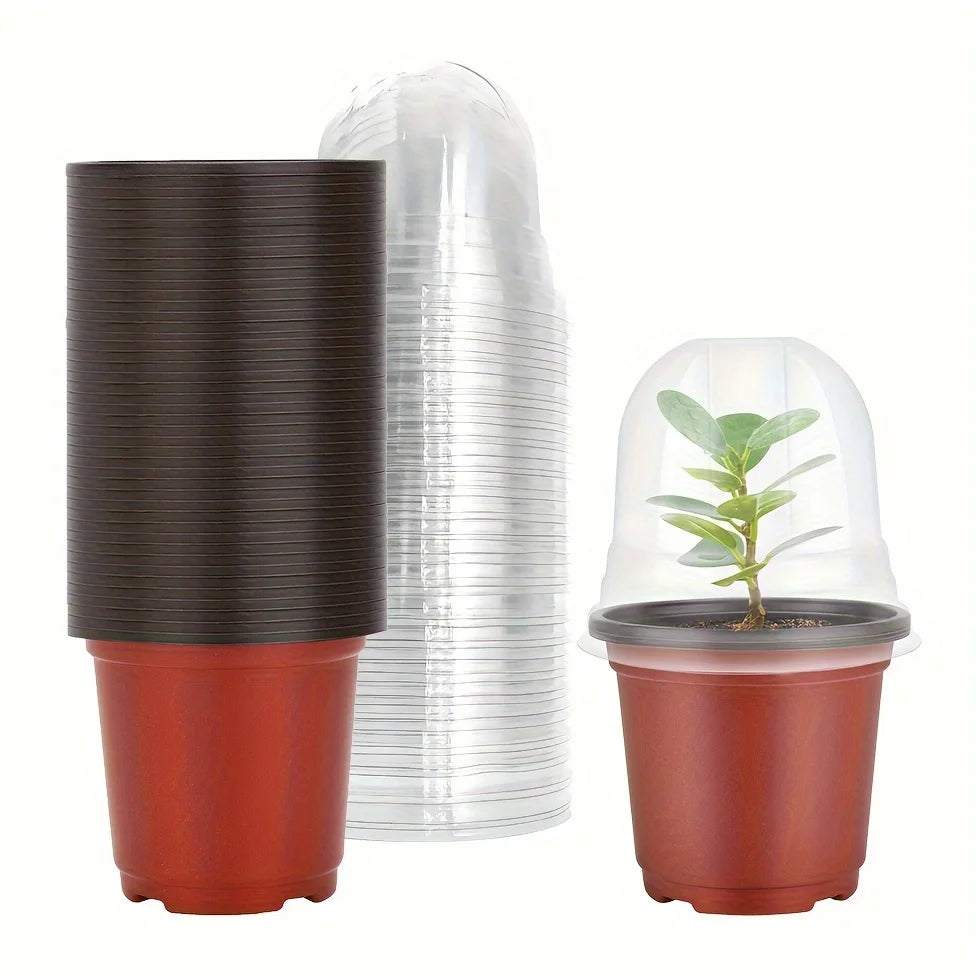 Plant Nursery Pot