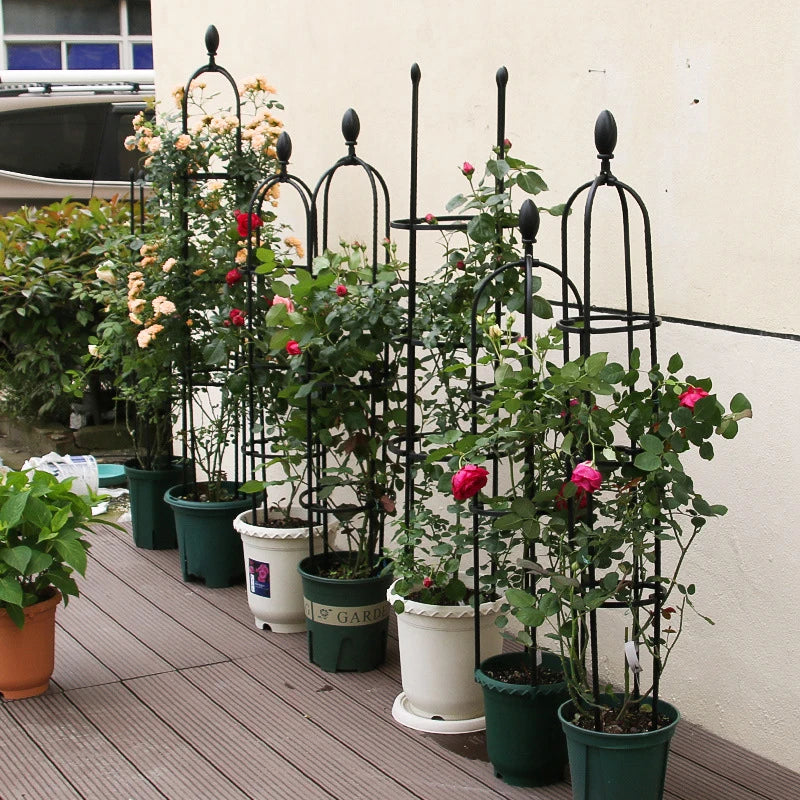 DIY Vines Pot Plant Stand Flowers Plants Climbing