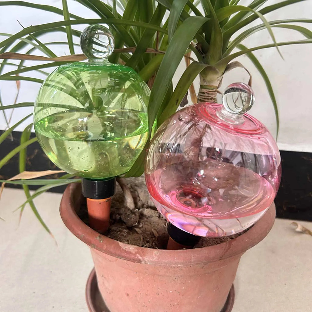 Self Watering Globes Top Fill Automatic Plant Watering