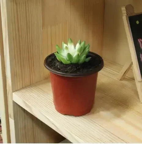 Flowerpot Plastic Grow Box Fall Resistant Tray