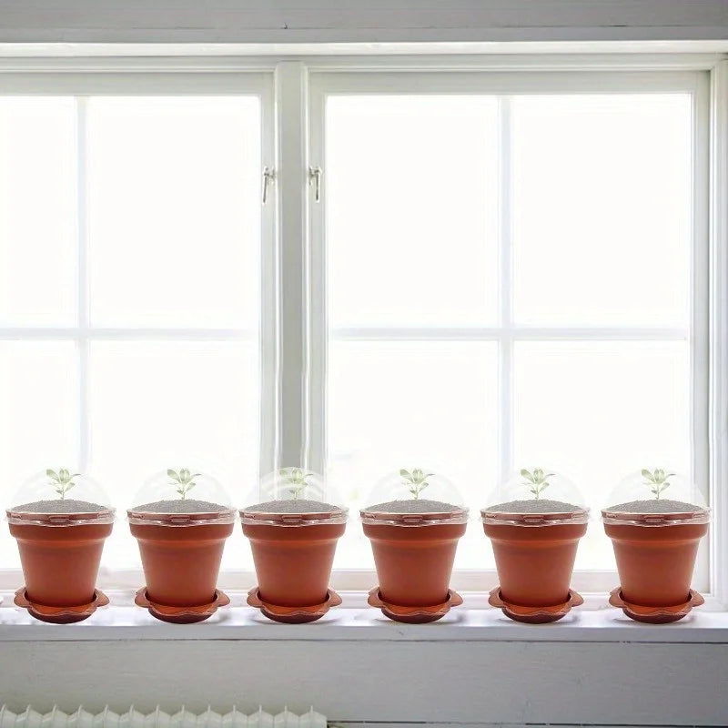 20Paper Cup Flower Pot with Humidity Cover
