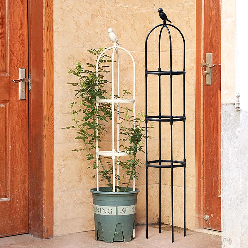 Climbing Plant Trellis Garden Support Cages For Flowers