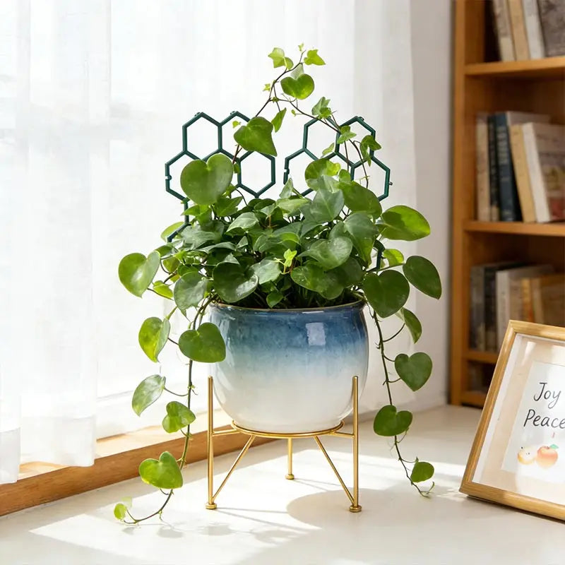 Climbing Plant Support Stand For Balcony Flower Pots