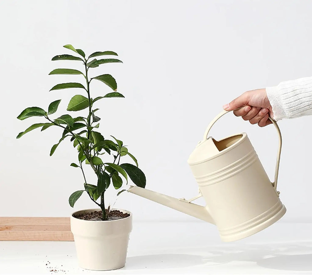 Indoor Plant Watering Can With Sprinkler Head
