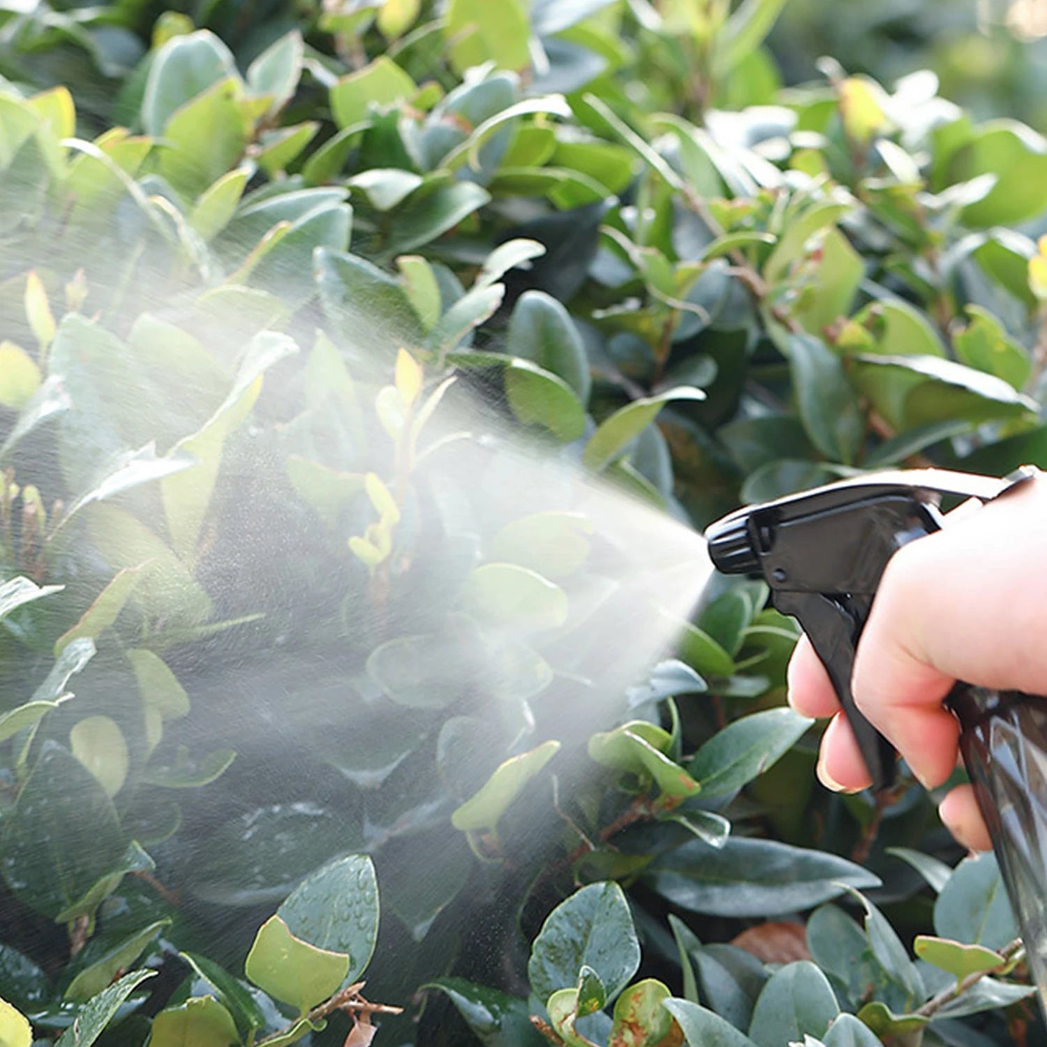600ml Sprayer Bottle Plant Flower Watering Cans Manual