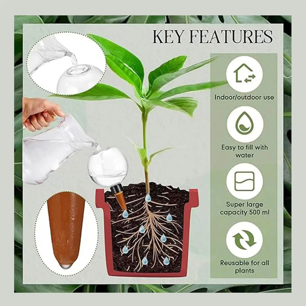 Plant Self-Watering Globe Insertable Automatic Watering Device Clear