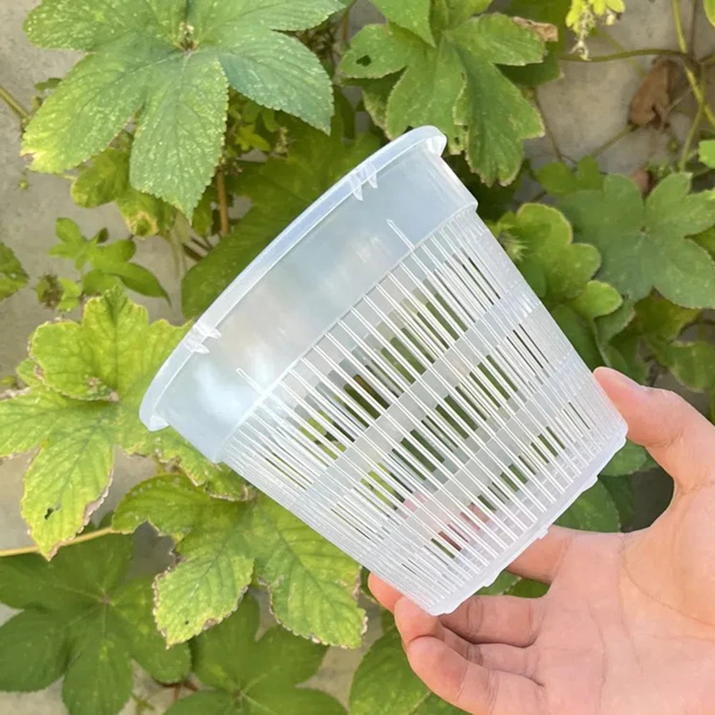 Clear Nursery Pots Garden Planting Pot Orchid