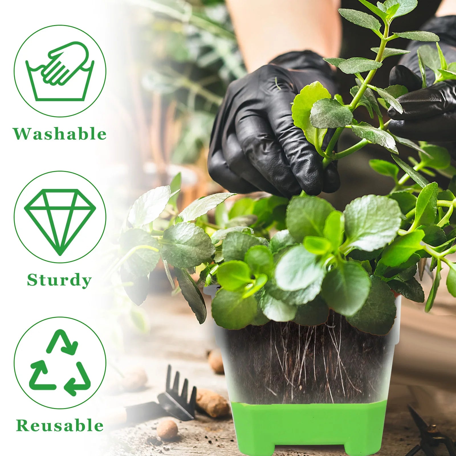 Seedling Pots