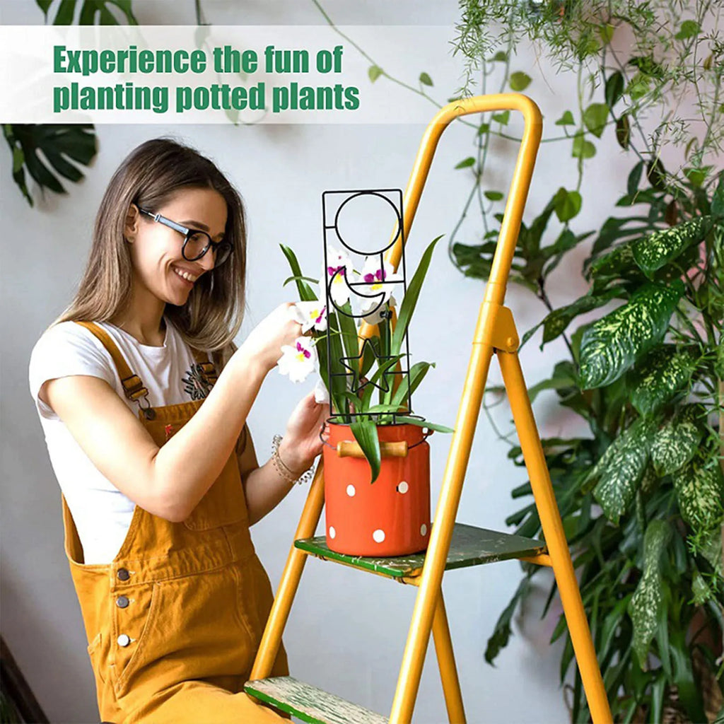 Climbing Plant Trellis Plant Support Garden Stake Stand