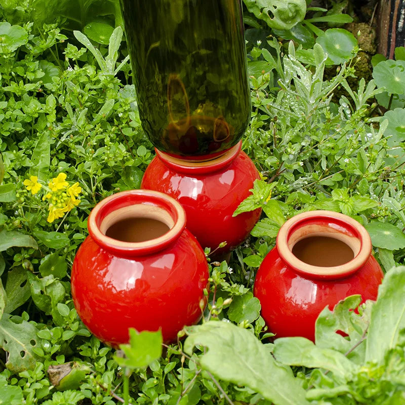 Watering Spikes — Self Watering Globes