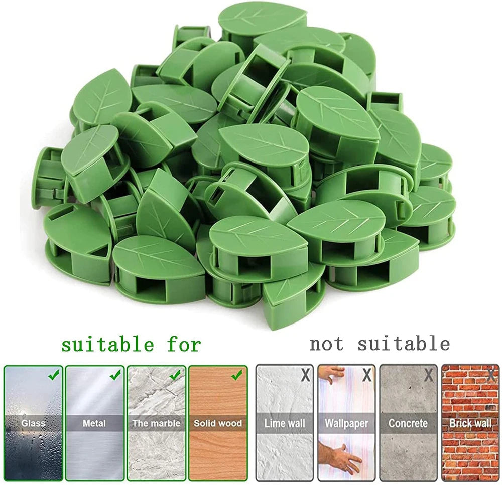 Invisible Plant Climbing Wall Fixture Clips 10-50Pcs — Plant Trellis