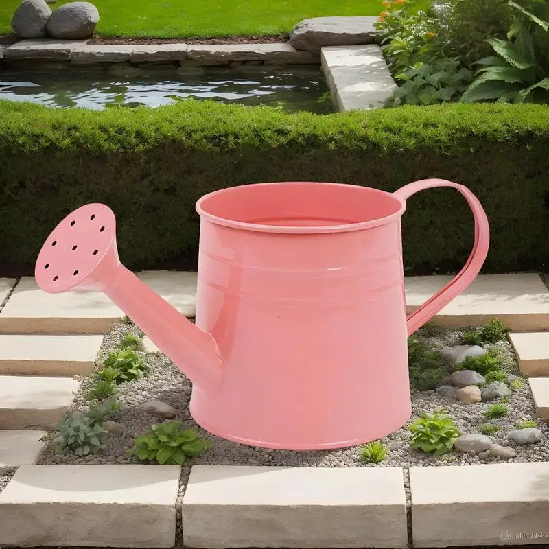 Small Watering Can For Indoor Plants 1L Long