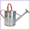 2 Gallon Galvanized Steel Watering Can