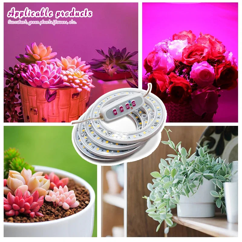 LED Ring Grow Lights Indoor Plants Full