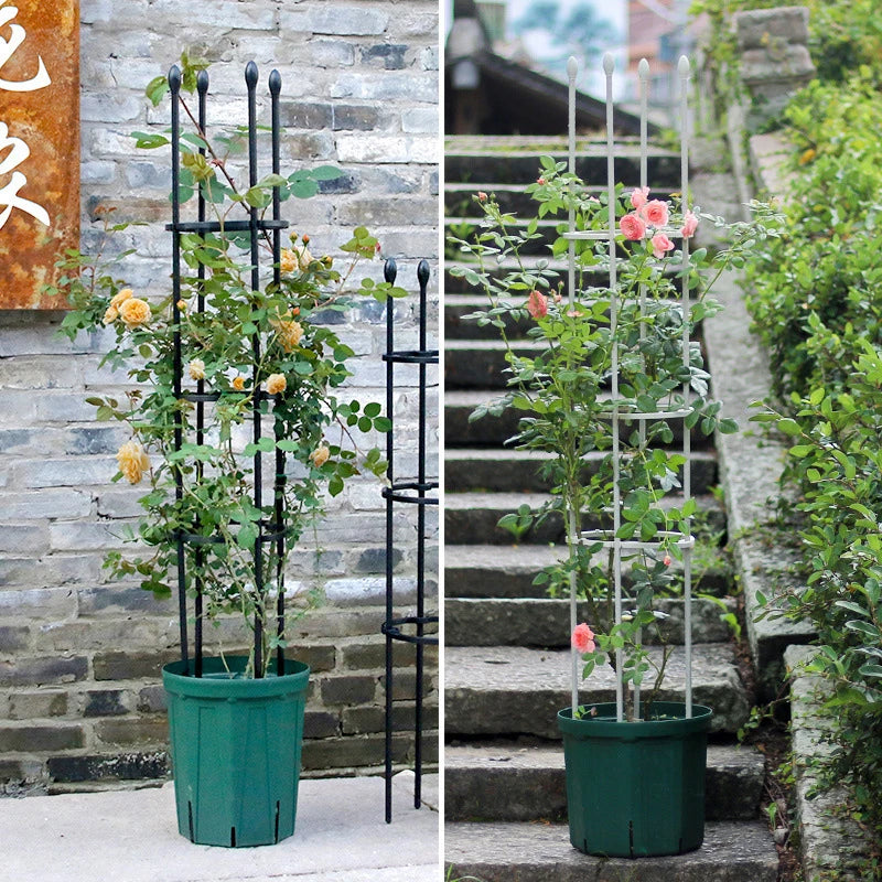 Plant Support Cages Tomato Cages For Climbing Plants