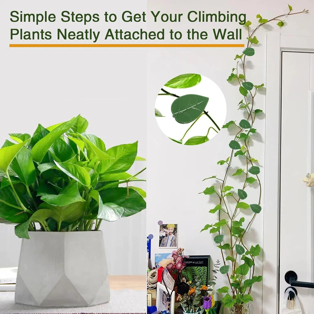 Invisible Plant Climbing Wall Fixture Clips 10-50Pcs — Plant Trellis