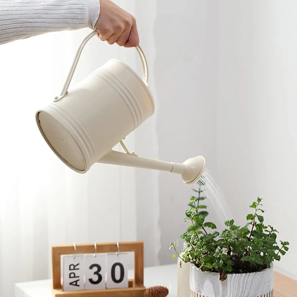 Indoor Plant Watering Can With Sprinkler Head