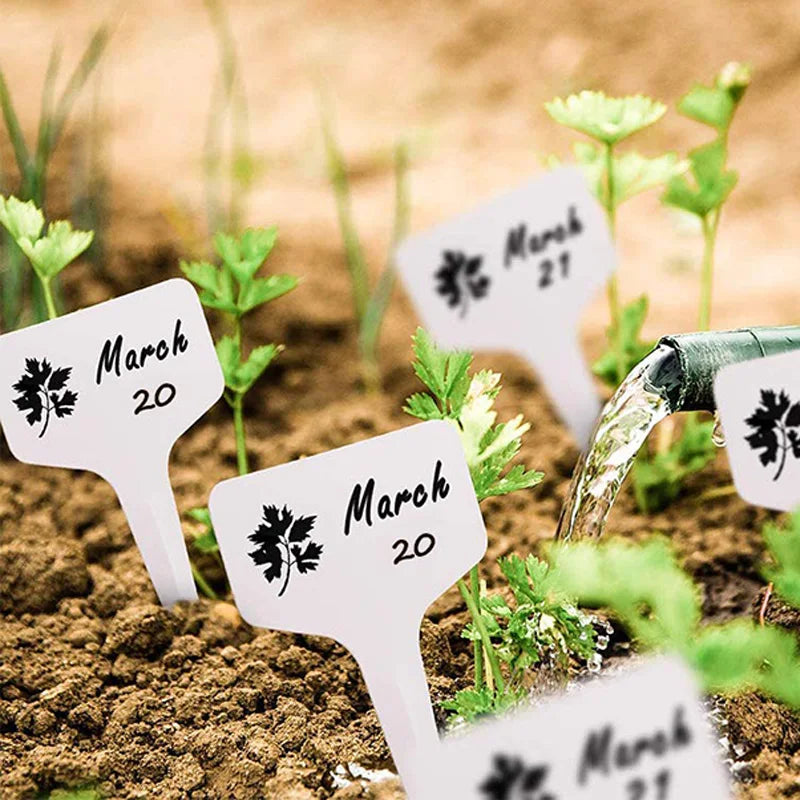 Mini Gardening Tool Set Label Board Plastic