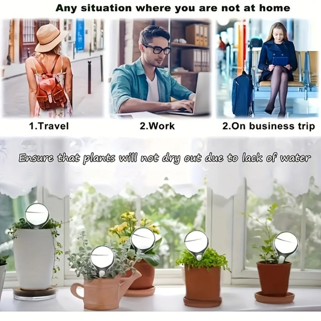 Small Plant Watering Globes Self Watering Bulbs PVC