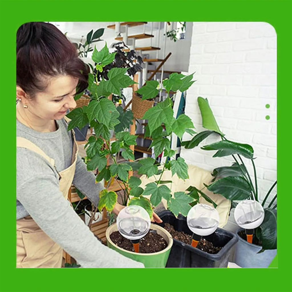 Plant Self-Watering Globe Insertable Automatic Watering Device Clear