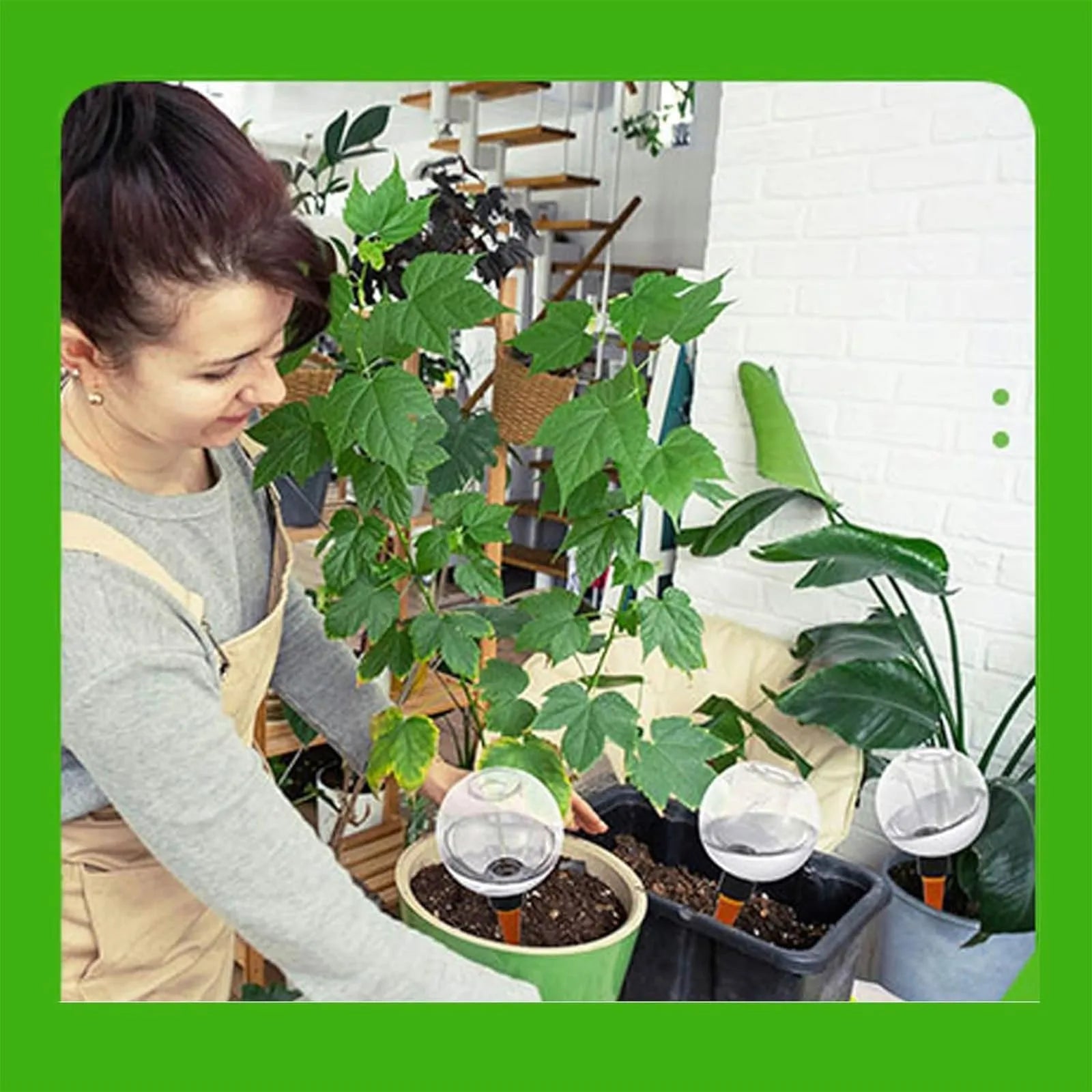 Plant Self-Watering Globe Insertable Automatic Watering Device Clear