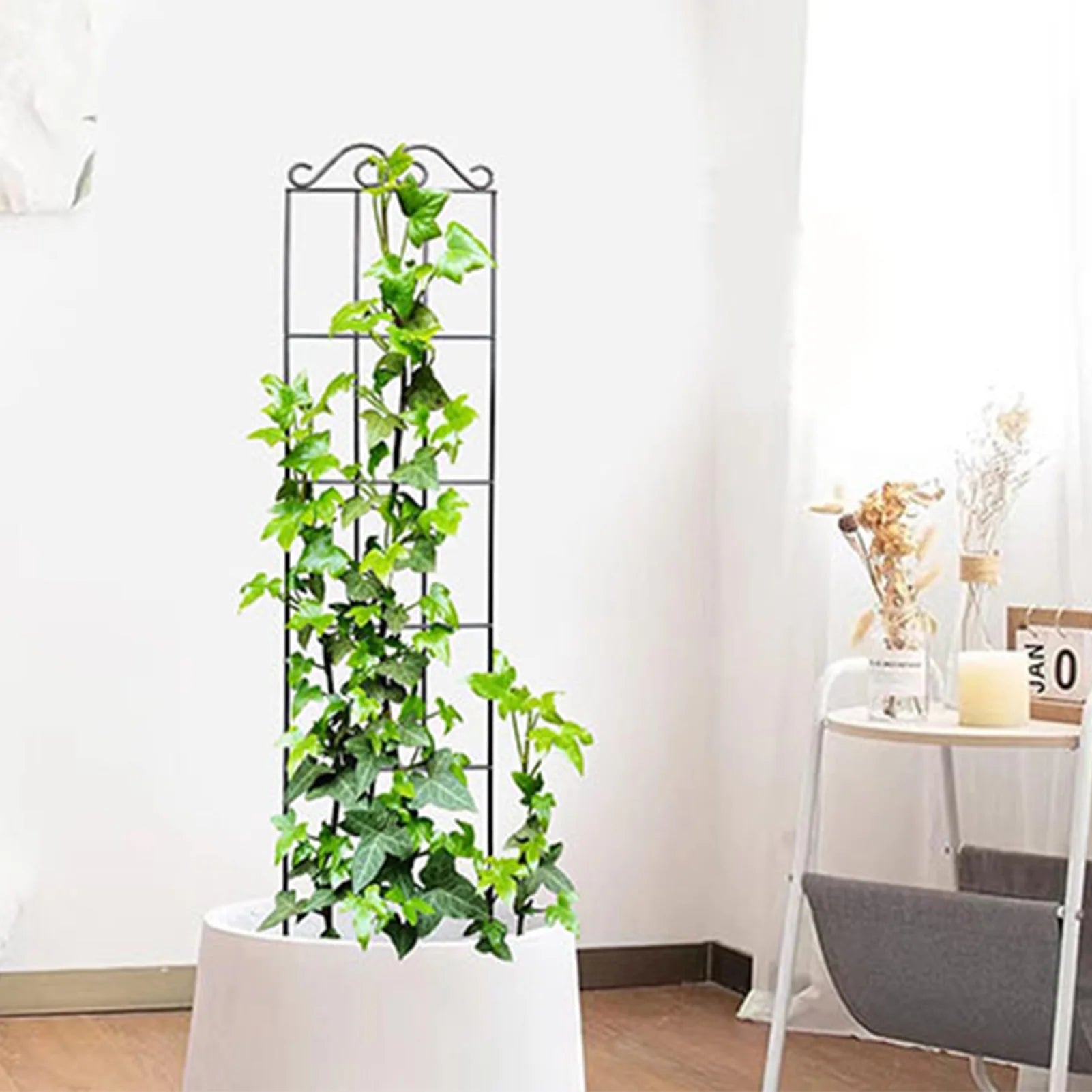 Plants Support Metal Trellis Black Iron Wire Vine