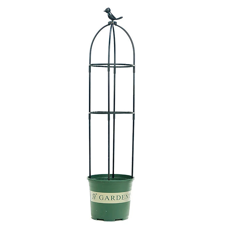 Climbing Plant Trellis Garden Support Cages For Flowers