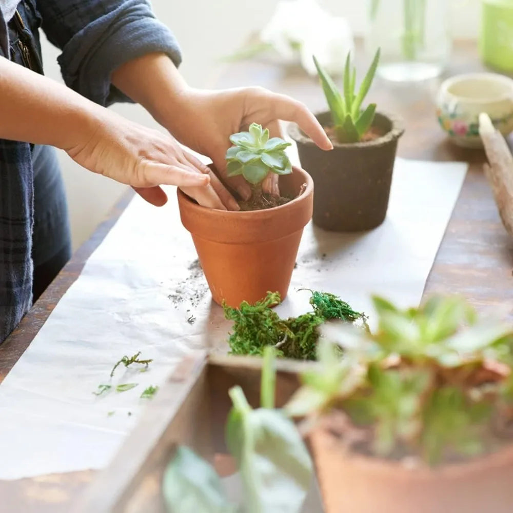 22-Pack 3 Inch Terracotta Pots with Drainage
