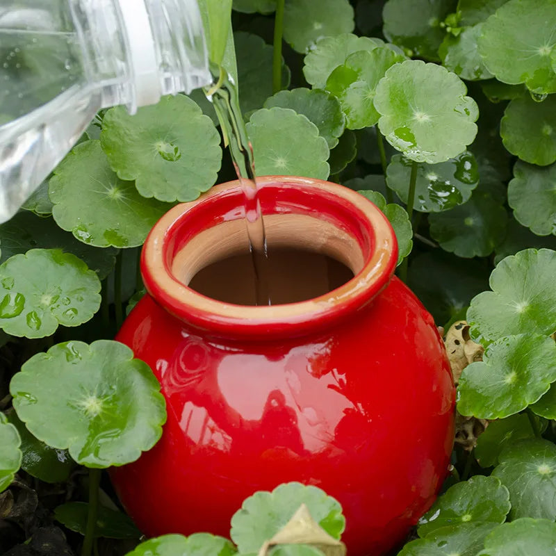 Watering Spikes — Self Watering Globes