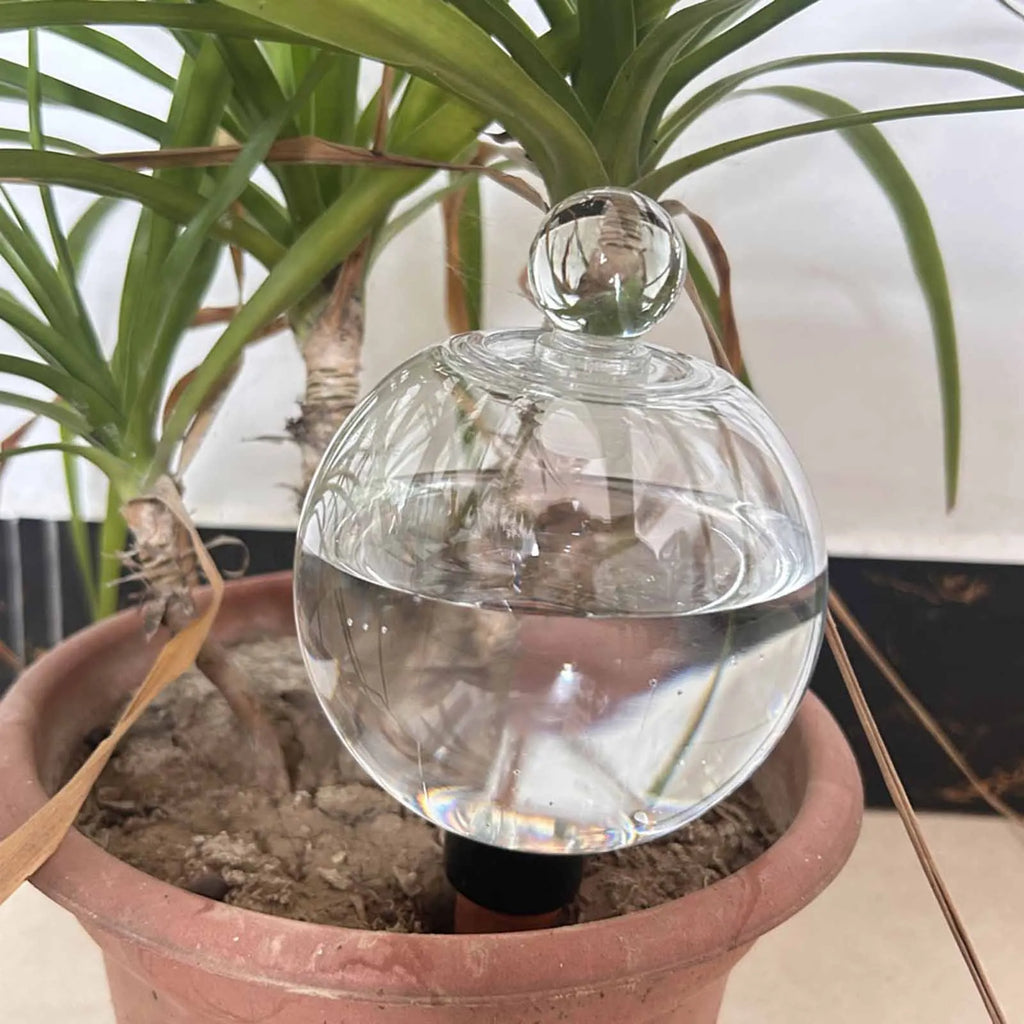 Self Watering Globes Top Fill Automatic Plant Watering
