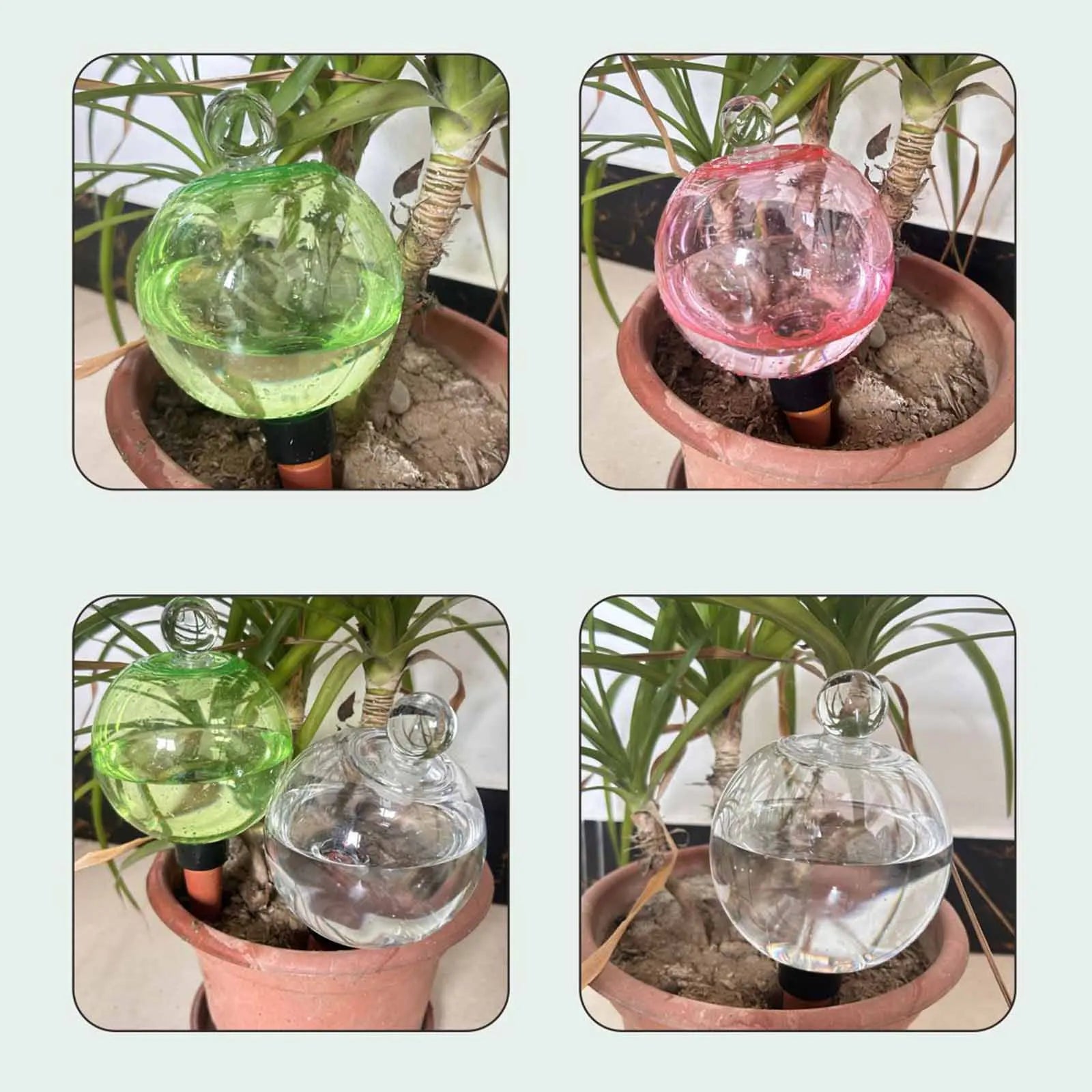 Self Watering Globes Top Fill Automatic Plant Watering