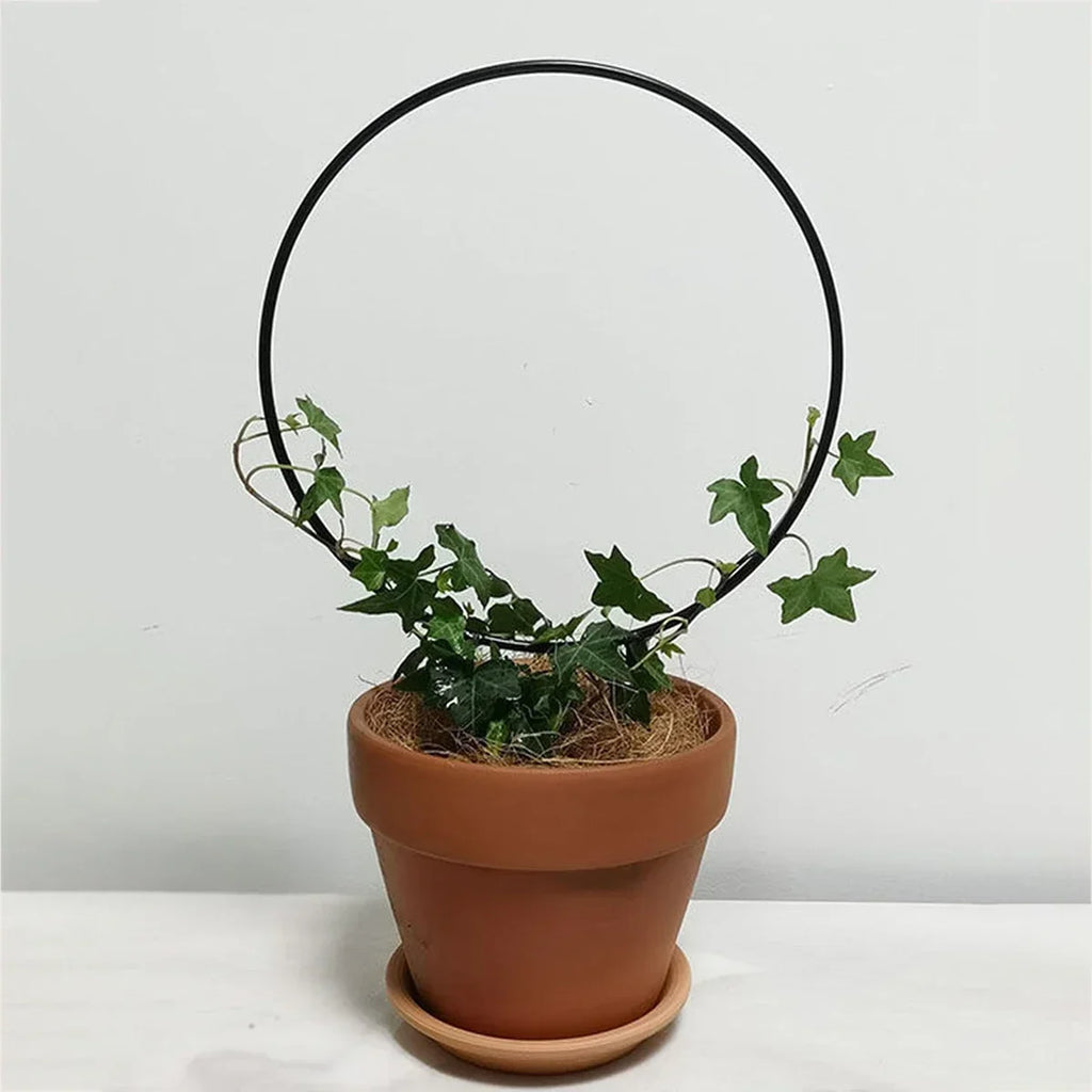 Garden Trellis Plant Iron Climbing Plant Support With