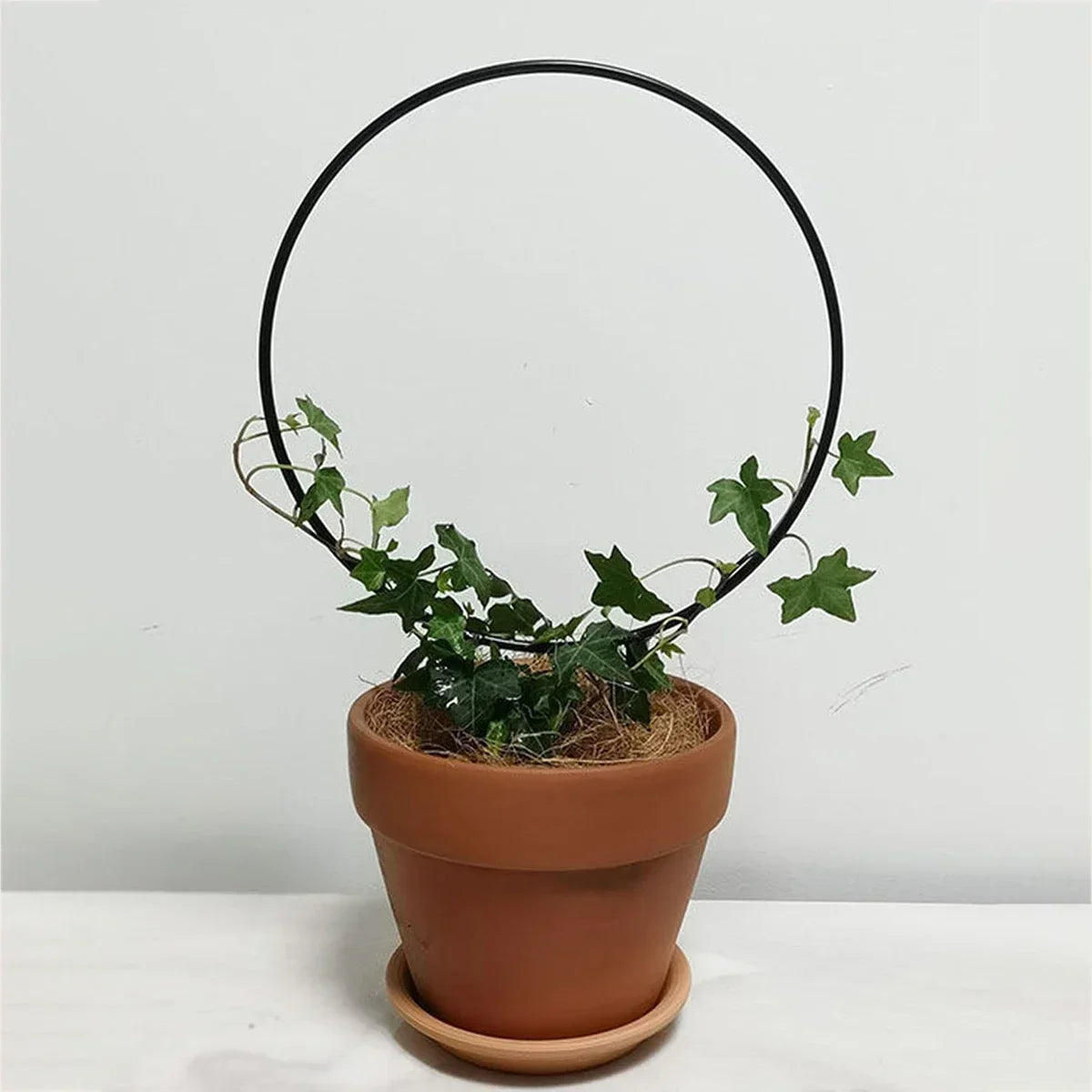 Garden Trellis Plant Iron Climbing Plant Support With