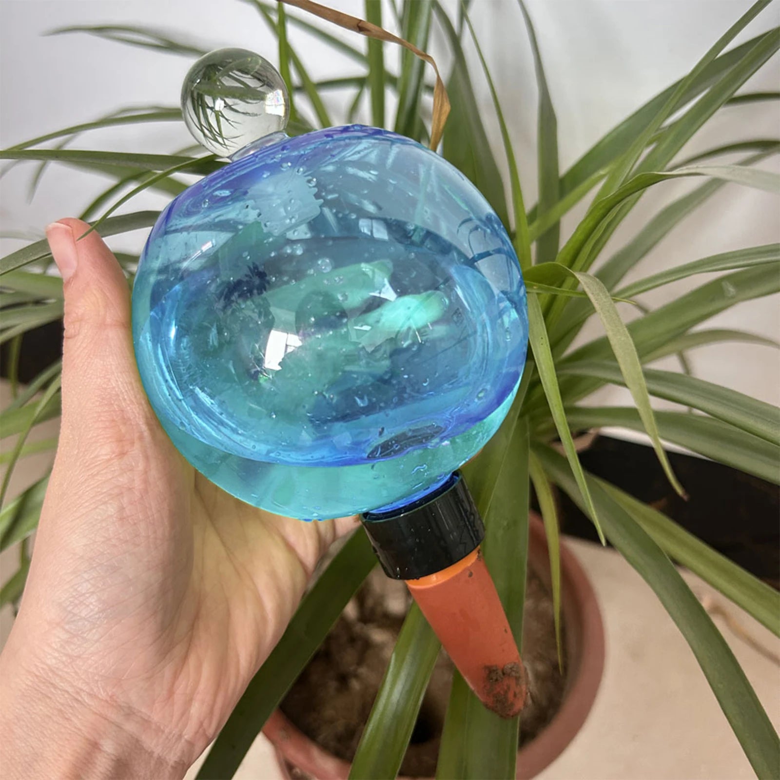 Self Watering Globes Top Fill Automatic Plant Watering