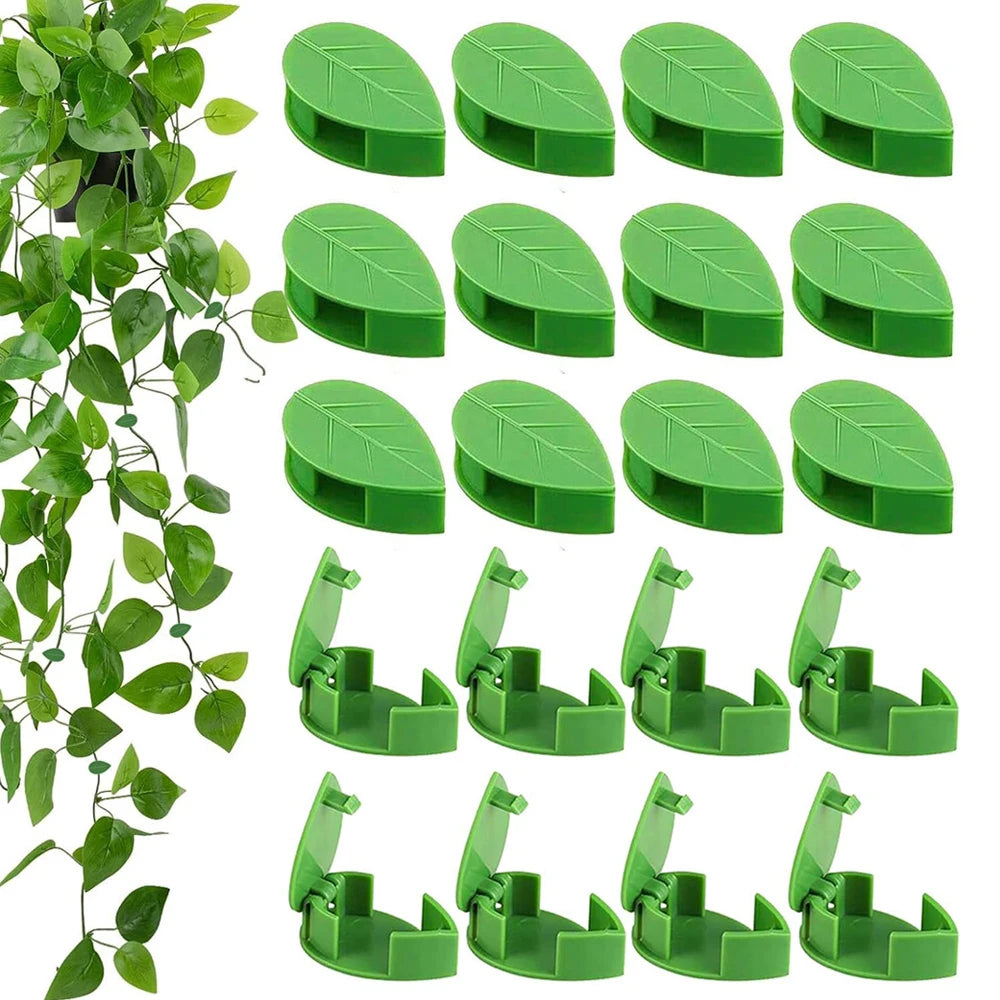 Invisible Plant Climbing Wall Fixture Clips 10-50Pcs — Plant Trellis