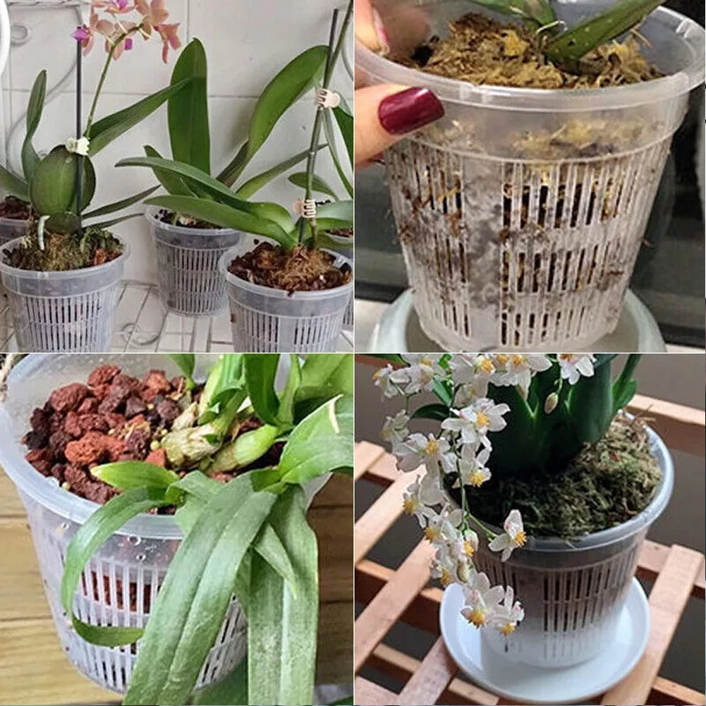 Clear Nursery Pots Garden Planting Pot Orchid