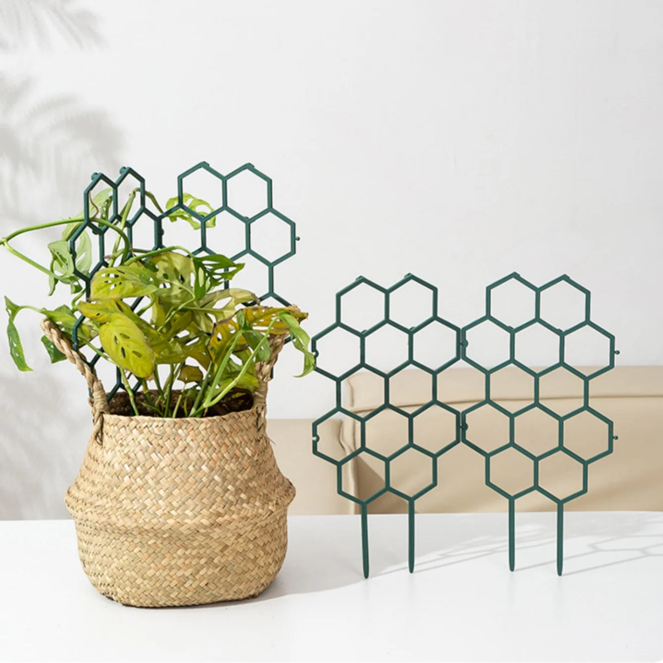 Honeycomb Design Plant Trellis Plastic Climbing Frame Indoor